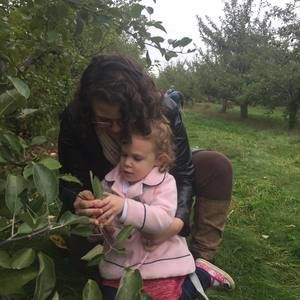 Meet your Posher, Joy